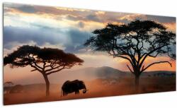 Mivali Tablou - Parcul Național Serengeti, Tanzania, Africa, dintr-o bucată 100x40 cm (V023034V10040)