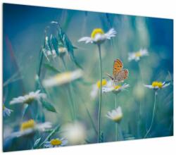 Mivali Tablou - Fluture pe margaretă, dintr-o bucată 100x70 cm (V023330V10070)