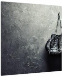 Mivali Tablou - Mănuși de box, dintr-o bucată 50x50 cm (V023455V5050)