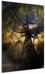 Mivali Tablou - Cerul enigmatic, dintr-o bucată 50x70 cm (V021560V5070)