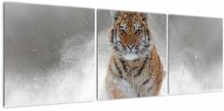 Mivali Tablou cutigru fugind prin zăpadă, din trei bucăți 120x40 cm (V020719V12040)
