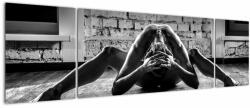 Mivali Tablou - Nud artistic al unei femei, din trei bucăți 170x50 cm (V023495V17050)