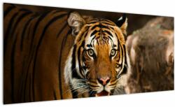 Mivali Tablou cu tigrul, dintr-o bucată 100x40 cm (V020183V10040)