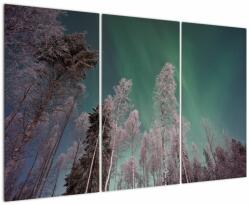 Mivali Tablou cu aurora borealis deasupra pomilor înghețați, din trei bucăți 120x80 cm (V021684V120803PCS)