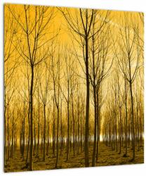 Mivali Tablou pe sticlă - Palntație cu pomi, dintr-o bucată 40x40 cm pe sticlă (V021313V4040GD)