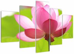 Mivali Tablou cu flori de lotus, din cinci bucăți 150x105 cm (V021697V150105)