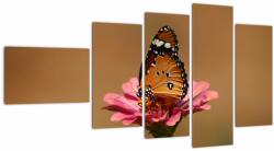 Mivali Tablou cu fluture pe floare, din cinci bucăți 110x60 cm (V020268V11060)