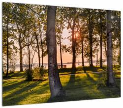 Mivali Tablou cu pomi lângă lac, dintr-o bucată 70x50 cm (V020839V7050)