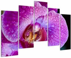 Mivali Tablou detailat cu floare de orhidee, din cinci bucăți 125x90 cm (V020314V12590)