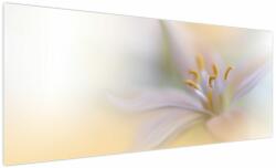 Mivali Tablou - Floare fragedă, dintr-o bucată 250x125 cm (V023954V250125)