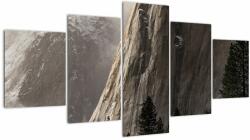 Mivali Tablou din valea Yosemite parcul național, SUA, din cinci bucăți 150x80 cm (V021717V150805PCS)