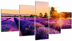 Mivali Tablou cu câmp de lavanda, din cinci bucăți 150x80 cm (V020540V150805PCS)