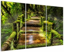 Mivali Tablou cu scări într-o pădure tropicală, din trei bucăți 120x80 cm (V020941V120803PCS)
