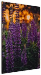 Mivali Tablou - Flori de lupin, dintr-o bucată 60x90 cm (V022614V6090)