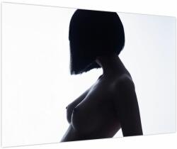Mivali Tablou - Silueta feminină, nud, dintr-o bucată 90x60 cm (V023899V9060)