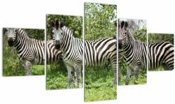 Mivali Tablou cu zebre, din cinci bucăți 125x70 cm (V020921V12570)