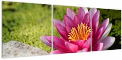 Mivali Tablou - Lotus, din trei bucăți 120x40 cm (V021330V12040)