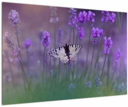 Mivali Tablou - fluture în lavandă, dintr-o bucată 90x60 cm (V021452V9060)