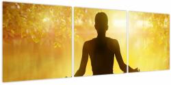 Mivali Tablou - meditare (V021741V12040)