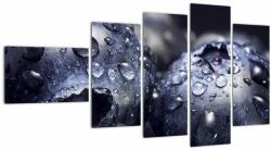 Mivali Tablou cu fructe cu picături de apă, din cinci bucăți 110x60 cm (V020222V11060)