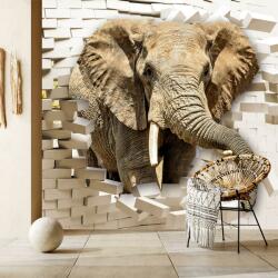 Mivali Fototapet - Elefant spărgând perete, vlies, 441x306 cm (T100356TQ9)