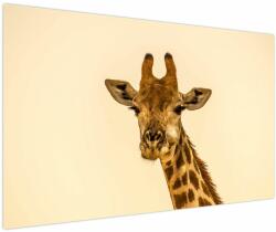 Mivali Tablou cu girafe, dintr-o bucată 150x100 cm (V020914V150100)
