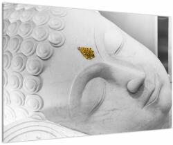 Mivali Tablou - Buddha alb, dintr-o bucată 90x60 cm (V023201V9060)