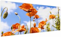Mivali Tablou cu macii, dintr-o bucată 250x125 cm (V020407V250125)