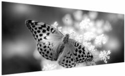 Mivali Tablou - Detailu cu fluture care polenizează floare, dintr-o bucată 250x125 cm (V022085V250125)