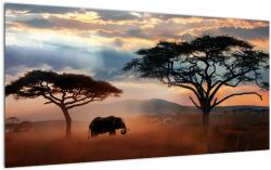 Mivali Tablou pe sticlă - Parcul Național Serengeti, Tanzania, Africa, dintr-o bucată 100x50 cm pe sticlă (V023034V10050GD)