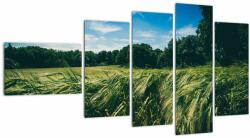 Mivali Tablou cu linca și pădure, din cinci bucăți 110x60 cm (V021343V11060)