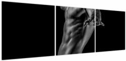 Mivali Tablou - Artă masculină, din trei bucăți 150x50 cm (V023837V15050)
