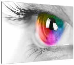 Mivali Tablou pe sticlă - Iris din ochi, dintr-o bucată 70x50 cm pe sticlă (V022216V7050GD)