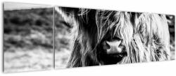 Mivali Tablou - Highland - vacă scoțiană, din trei bucăți 170x50 cm (V023574V17050)