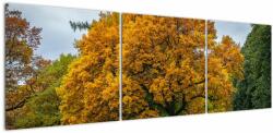 Mivali Tablou cu copac, din trei bucăți 150x50 cm (V020324V15050)