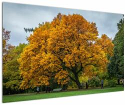 Mivali Tablou cu copac, dintr-o bucată 120x80 cm (V020324V12080)