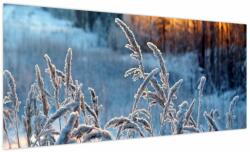 Mivali Tablou - Pajiște de iarnă, dintr-o bucată 100x40 cm (V023781V10040)
