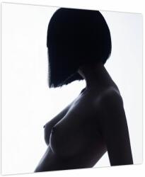 Mivali Tablou - Silueta feminină, nud, dintr-o bucată 50x50 cm (V023899V5050)