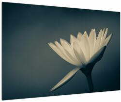 Mivali Tablou cu flori, dintr-o bucată 90x60 cm (V021223V9060)