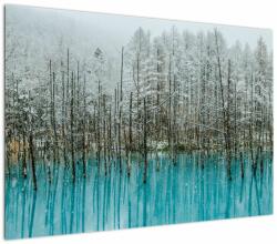 Mivali Tablou - Pescărie turcoaz, Biei, Japonia, dintr-o bucată 100x70 cm (V023163V10070)