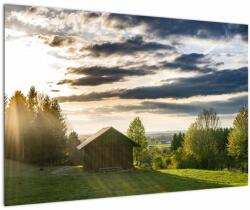 Mivali Tablou cabana în pădure, dintr-o bucată 90x60 cm (V020263V9060)