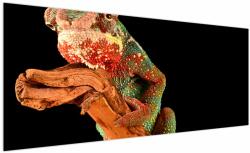 Mivali Tablou cu cameleon pe creangă, dintr-o bucată 250x125 cm (V021125V250125)