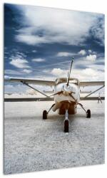 Mivali Tablou cu aeroplan cu motor, dintr-o bucată 50x70 cm (V021915V5070)