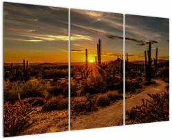 Mivali Tablou - Sfărșit de zi în deșertul Arizona, din trei bucăți 120x80 cm (V021638V120803PCS)
