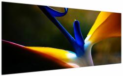Mivali Tablou - Floare exotică, dintr-o bucată 200x100 cm (V023749V200100)
