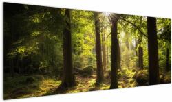 Mivali Tablou - Pădurea de vis, dintr-o bucată 145x58 cm (V022623V14558)