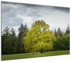 Mivali Tablou - Copac verde în câmp, dintr-o bucată 100x70 cm (V022540V10070)