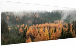 Mivali Tablou - Pădure toamna, dintr-o bucată 250x125 cm (V022938V250125)