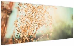 Mivali Tablou - Plante de luncă, dintr-o bucată 120x50 cm (V023850V12050)