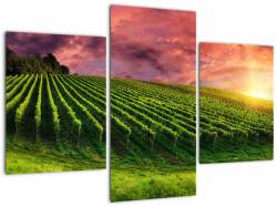 Mivali Tablou cu vie cu cerul color, din trei bucăți 90x60 cm (V020336V90603PCS)